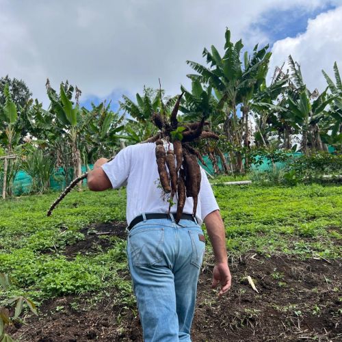 EXERIENCIA EN VISITA FINCAS