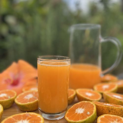 JUGOS MANDARINA FINCA BELLA VILLAGE