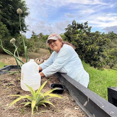 Taller abonos orgánicos