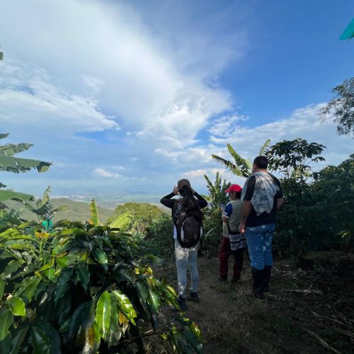 Recorridos fincas cafeteras
