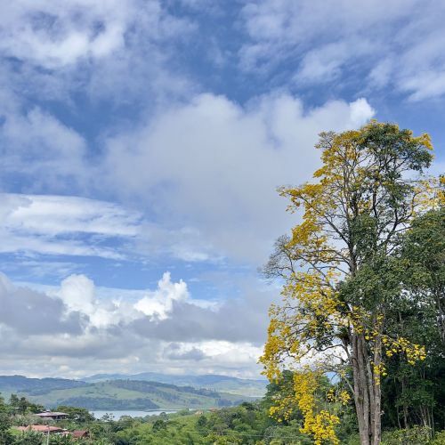 Vista al Lago Calima Finca Bella Village